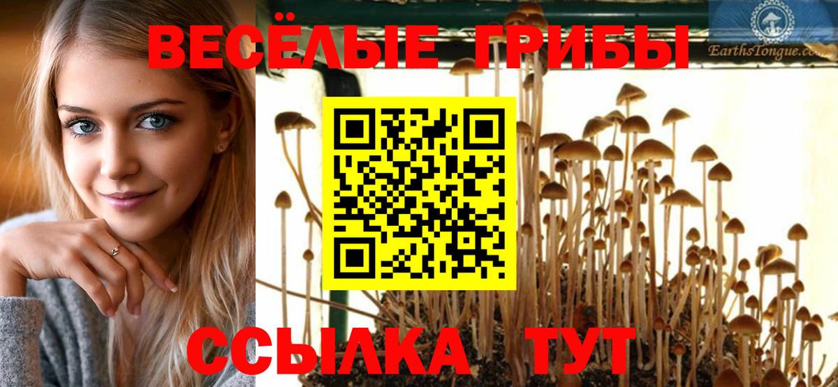 Галлюциногенные грибы MAGIC MUSHROOMS  Вход с VPN  Химки 